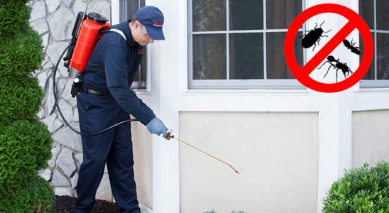 Sütçüler Gümüşkurt İlaçlama böcek ilaçlama ve haşere kontrolü — ilaclama-tr.com